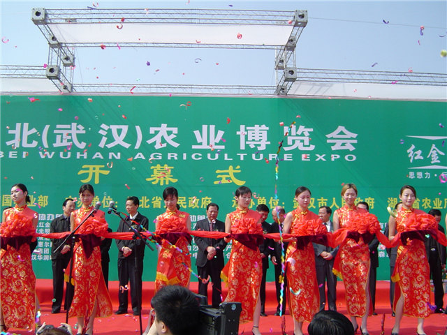 活動(dòng)策劃